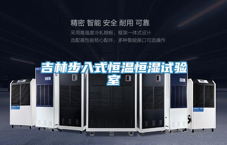 吉林步入式恒溫恒濕試驗(yàn)室