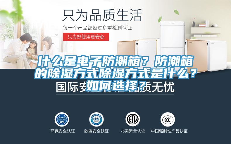 什么是電子防潮箱？防潮箱的除濕方式除濕方式是什么？如何選擇？