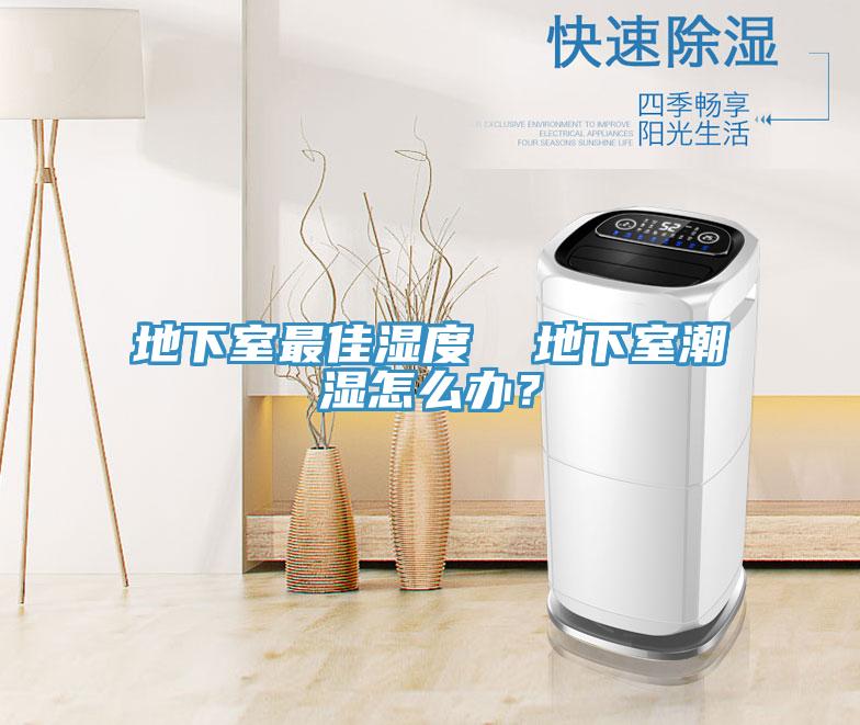 地下室最佳濕度  地下室潮濕怎么辦？