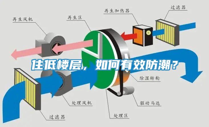 住低樓層，如何有效防潮？