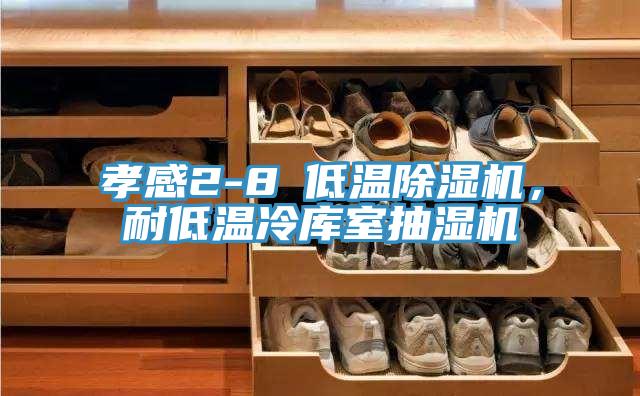 孝感2-8℃低溫除濕機(jī)，耐低溫冷庫(kù)室抽濕機(jī)