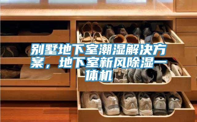 別墅地下室潮濕解決方案，地下室新風除濕一體機