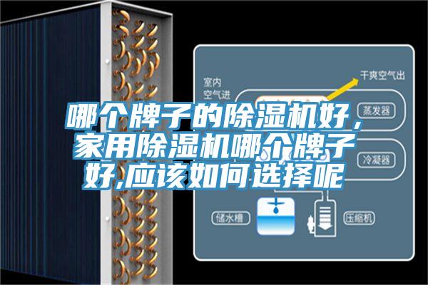 哪個(gè)牌子的除濕機(jī)好，家用除濕機(jī)哪個(gè)牌子好,應(yīng)該如何選擇呢