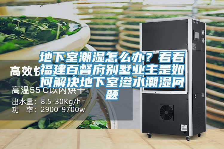 地下室潮濕怎么辦？看看福建百督府別墅業(yè)主是如何解決地下室滲水潮濕問(wèn)題