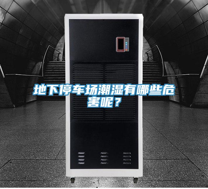 地下停車場(chǎng)潮濕有哪些危害呢？