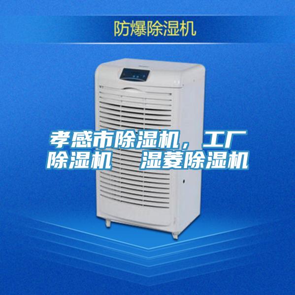 孝感市除濕機(jī)，工廠除濕機(jī)  濕菱除濕機(jī)