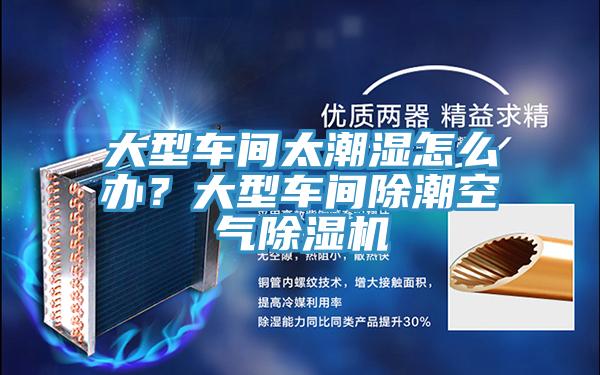 大型車間太潮濕怎么辦？大型車間除潮空氣除濕機(jī)