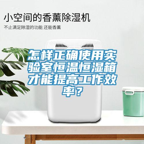 怎樣正確使用實(shí)驗(yàn)室恒溫恒濕箱才能提高工作效率？