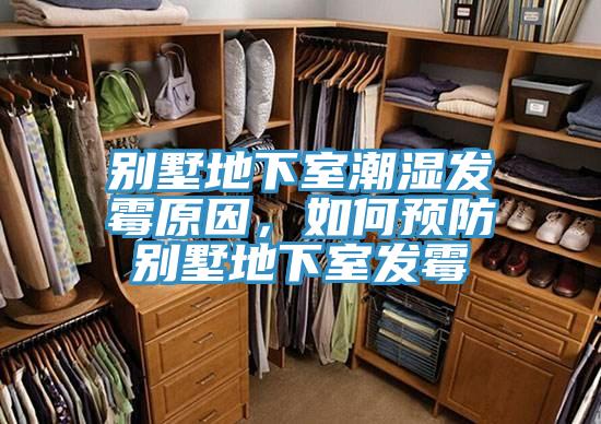 別墅地下室潮濕發(fā)霉原因，如何預防別墅地下室發(fā)霉
