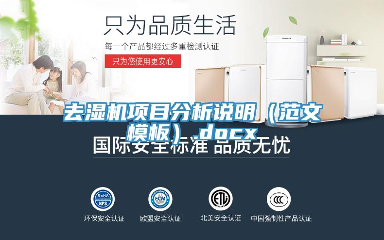 去濕機(jī)項(xiàng)目分析說明(范文模板).docx