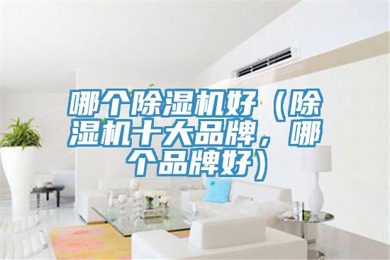 哪個除濕機(jī)好（除濕機(jī)十大品牌，哪個品牌好）