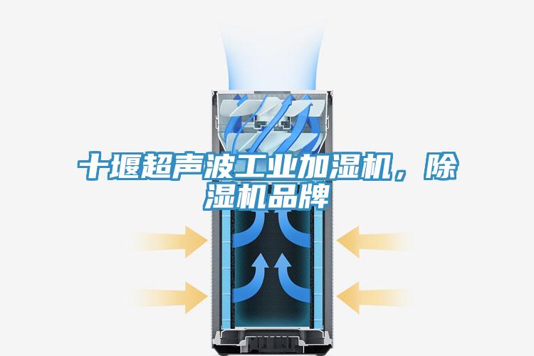 十堰超聲波工業(yè)加濕機(jī)，除濕機(jī)品牌
