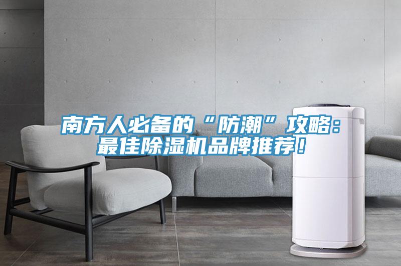 南方人必備的“防潮”攻略：最佳除濕機(jī)品牌推薦！