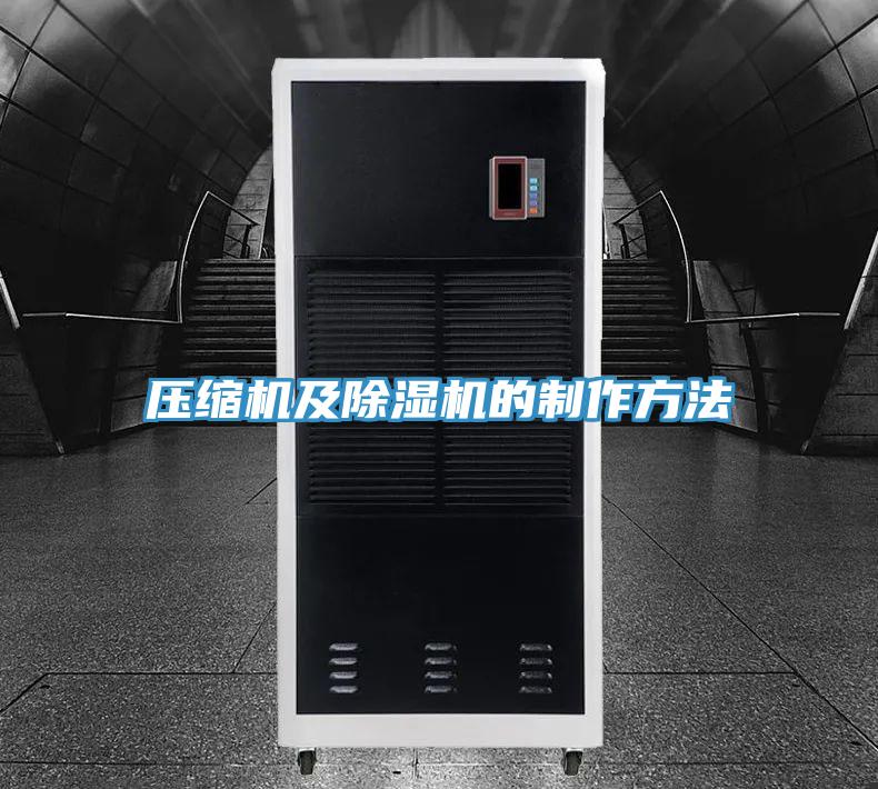 壓縮機(jī)及除濕機(jī)的制作方法
