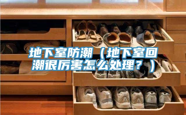 地下室防潮（地下室回潮很厲害怎么處理？）