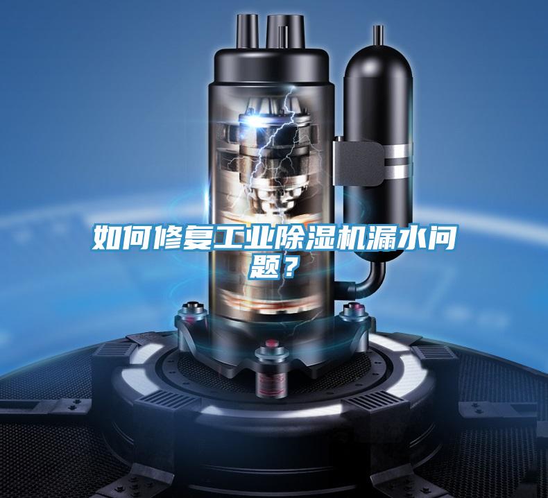 如何修復(fù)工業(yè)除濕機漏水問題？