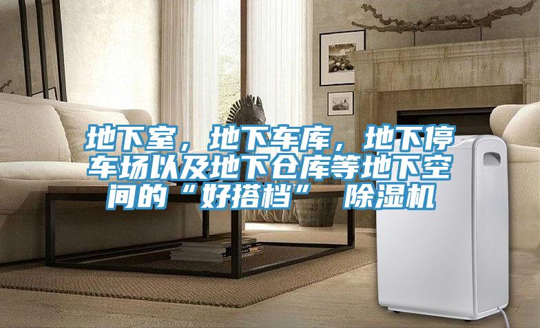 地下室，地下車庫，地下停車場以及地下倉庫等地下空間的“好搭檔” 除濕機(jī)