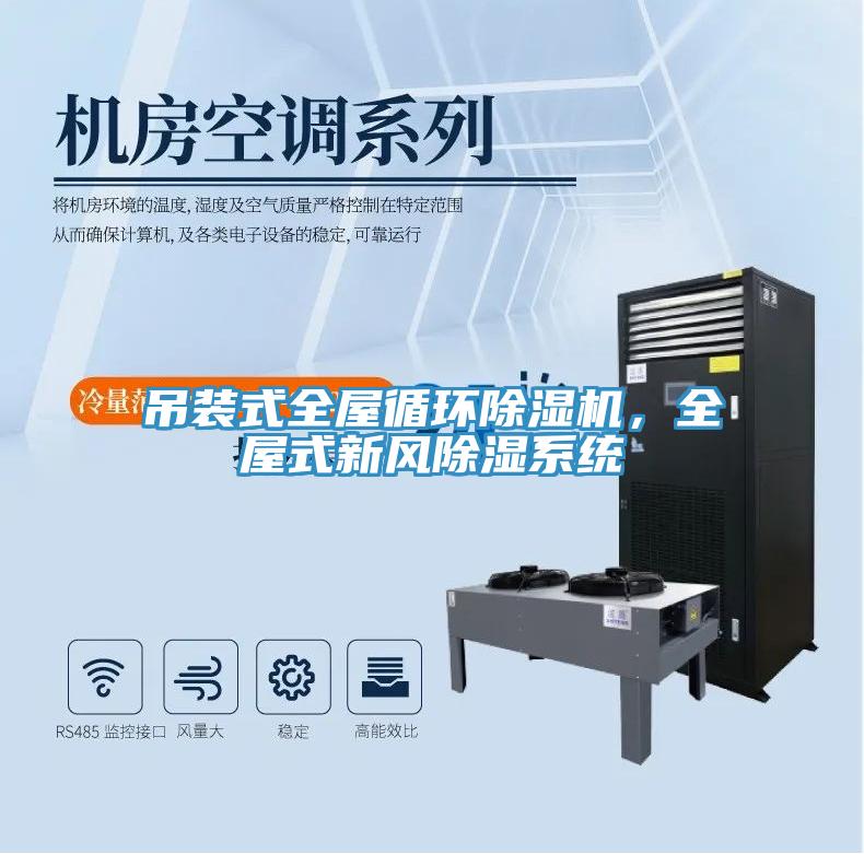 吊裝式全屋循環(huán)除濕機，全屋式新風除濕系統(tǒng)