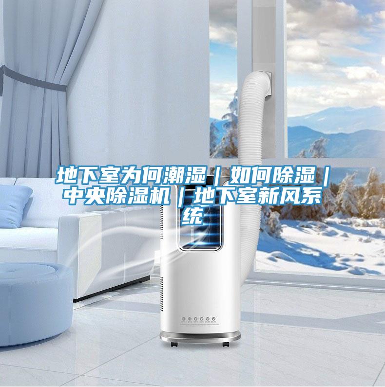 地下室為何潮濕｜如何除濕｜中央除濕機｜地下室新風系統(tǒng)