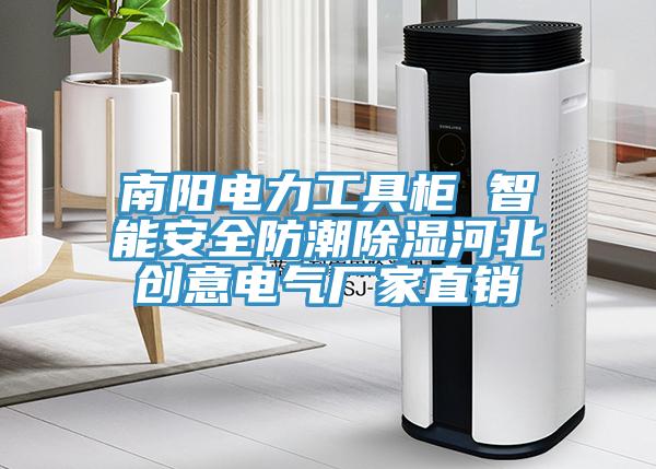 南陽(yáng)電力工具柜 智能安全防潮除濕河北創(chuàng)意電氣廠家直銷(xiāo)