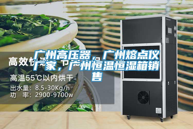 廣州高壓器，廣州熔點(diǎn)儀廠家，廣州恒溫恒濕箱銷售