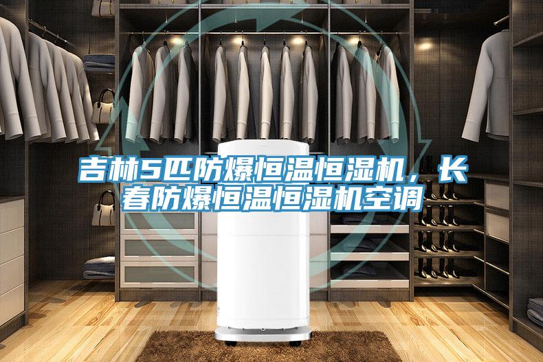 吉林5匹防爆恒溫恒濕機(jī)，長春防爆恒溫恒濕機(jī)空調(diào)