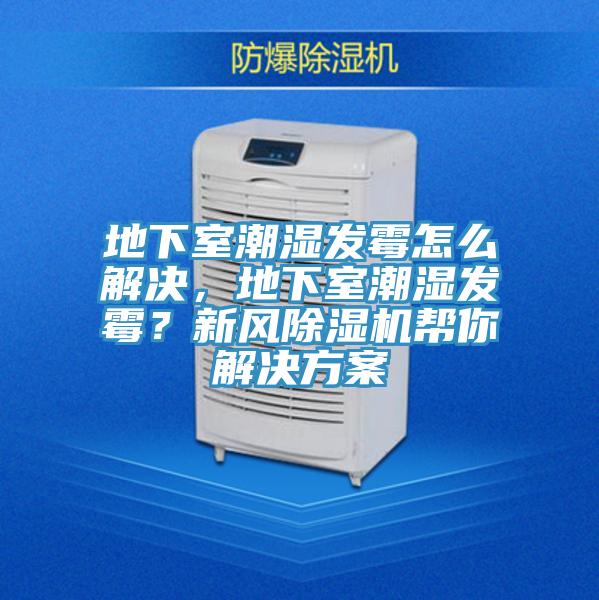 地下室潮濕發(fā)霉怎么解決，地下室潮濕發(fā)霉？新風除濕機幫你解決方案