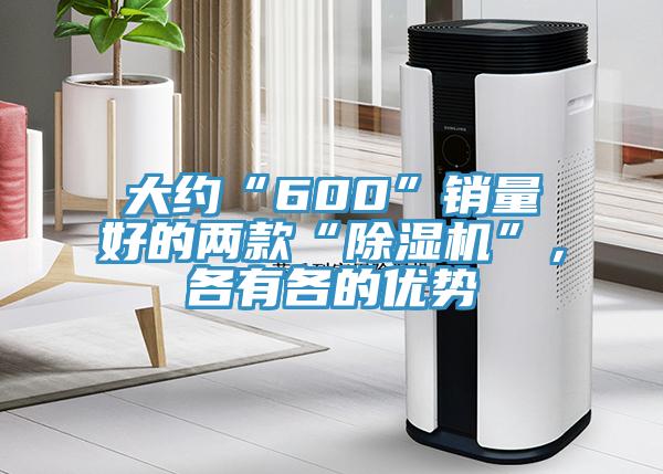 大約“600”銷量好的兩款“除濕機(jī)”，各有各的優(yōu)勢