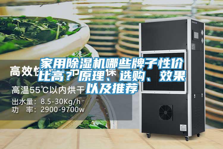 家用除濕機(jī)哪些牌子性價(jià)比高？原理、選購(gòu)、效果以及推薦