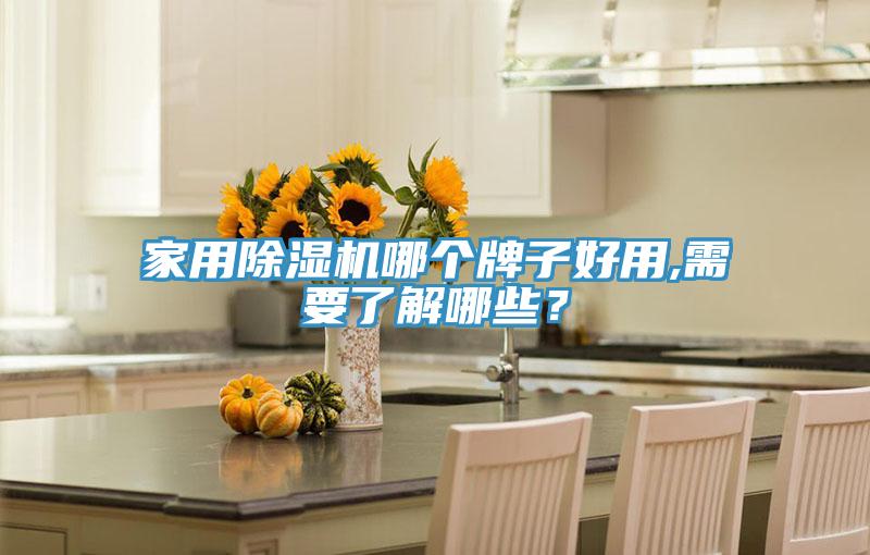 家用除濕機(jī)哪個(gè)牌子好用,需要了解哪些？