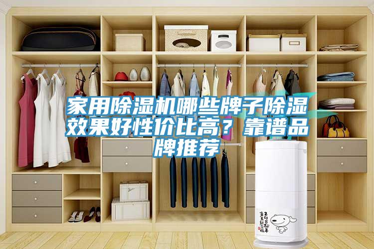 家用除濕機哪些牌子除濕效果好性價比高？靠譜品牌推薦