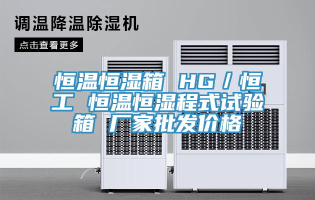 恒溫恒濕箱 HG/恒工 恒溫恒濕程式試驗箱 廠家批發(fā)價格