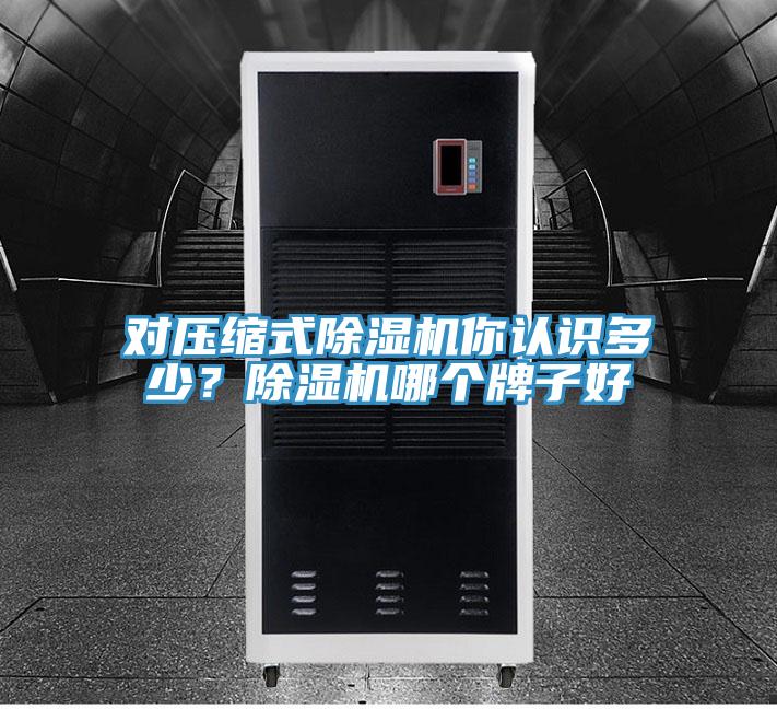 對(duì)壓縮式除濕機(jī)你認(rèn)識(shí)多少？除濕機(jī)哪個(gè)牌子好