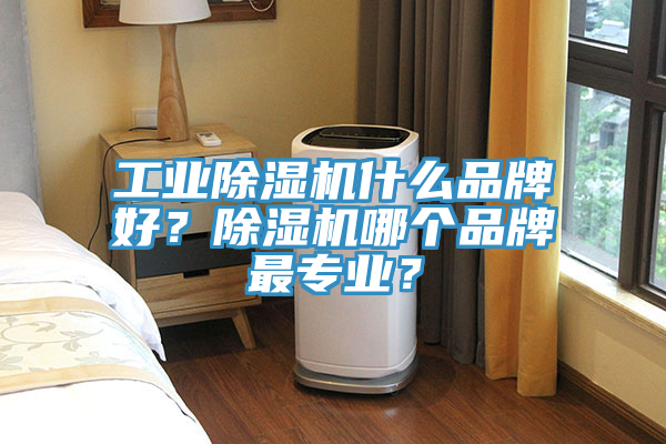 工業(yè)除濕機(jī)什么品牌好？除濕機(jī)哪個品牌最專業(yè)？