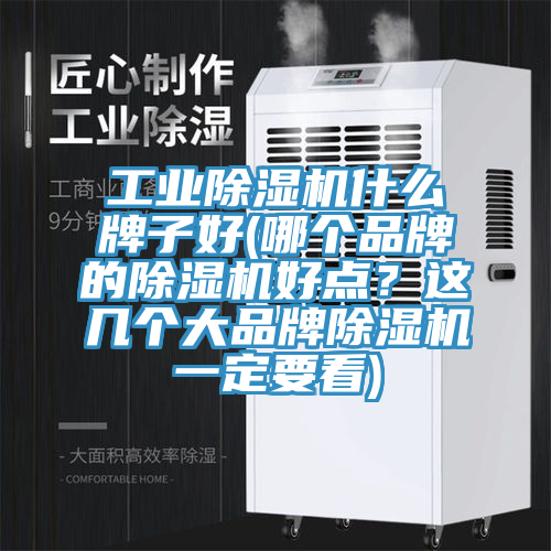 工業(yè)除濕機(jī)什么牌子好(哪個品牌的除濕機(jī)好點(diǎn)？這幾個大品牌除濕機(jī)一定要看)