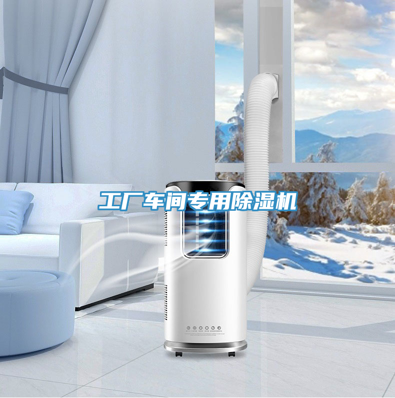 工廠車(chē)間專(zhuān)用除濕機(jī)