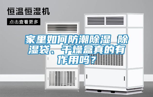家里如何防潮除濕 除濕袋、干燥盒真的有作用嗎？