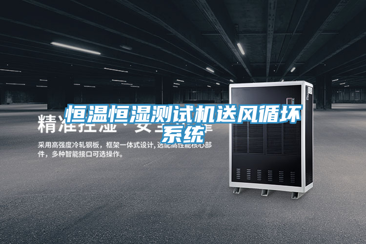 恒溫恒濕測(cè)試機(jī)送風(fēng)循壞系統(tǒng)