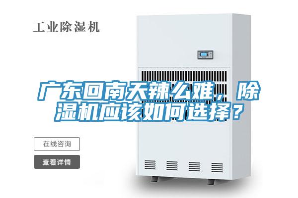 廣東回南天辣么難，除濕機應(yīng)該如何選擇？