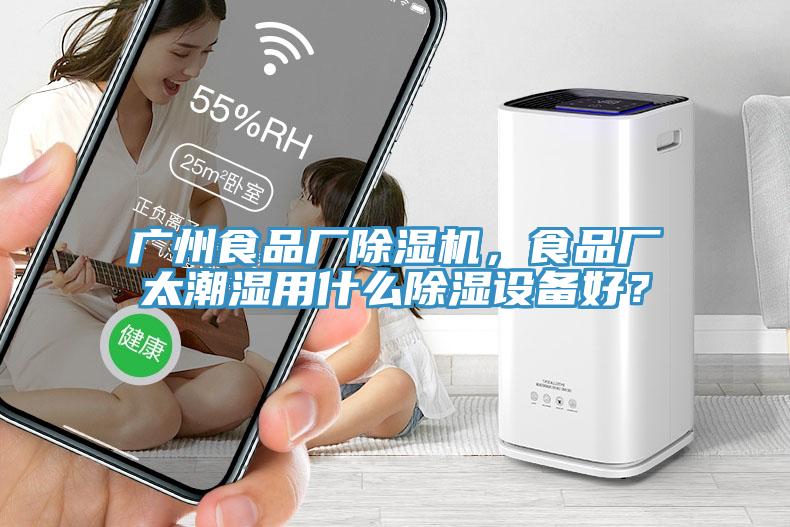 廣州食品廠除濕機(jī)，食品廠太潮濕用什么除濕設(shè)備好？