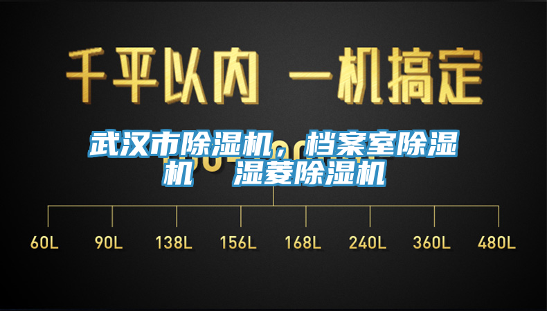 武漢市除濕機(jī)，檔案室除濕機(jī)  濕菱除濕機(jī)