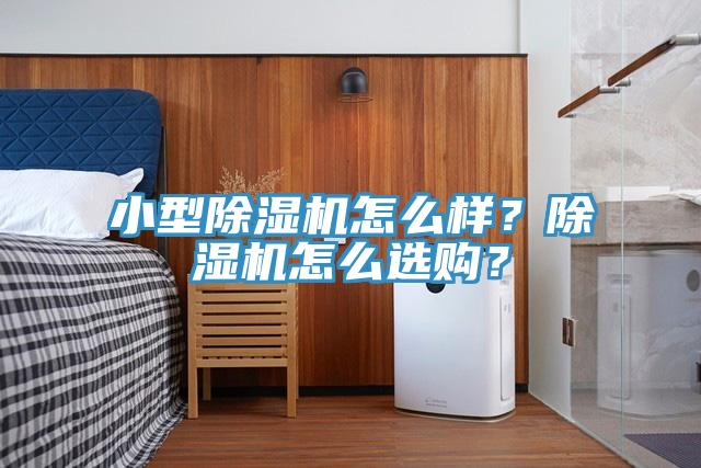 小型除濕機怎么樣？除濕機怎么選購？