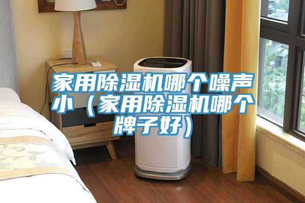 家用除濕機(jī)哪個(gè)噪聲?。矣贸凉駲C(jī)哪個(gè)牌子好）