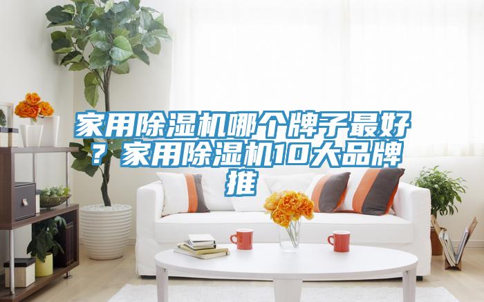 家用除濕機哪個牌子最好？家用除濕機10大品牌推