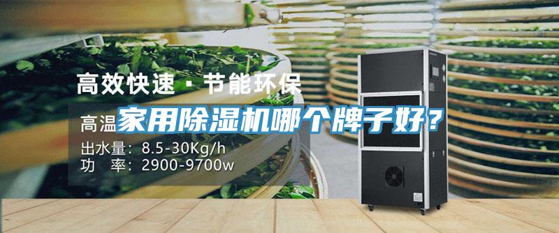 家用除濕機(jī)哪個(gè)牌子好？