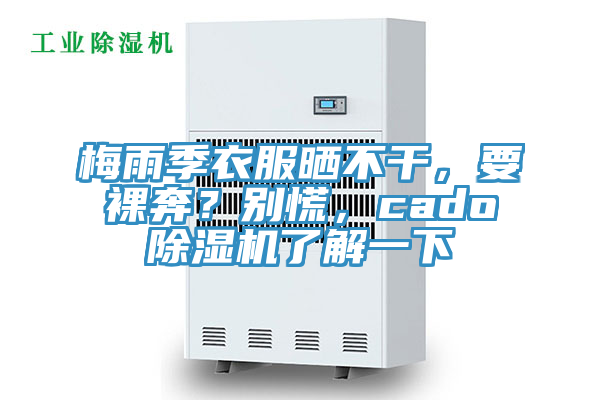梅雨季衣服曬不干，要裸奔？別慌，cado除濕機(jī)了解一下