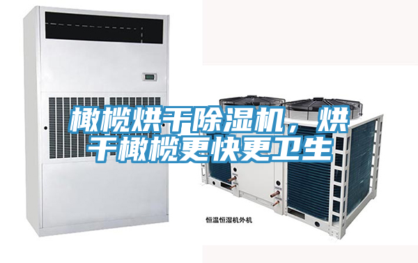 橄欖烘干除濕機(jī)，烘干橄欖更快更衛(wèi)生