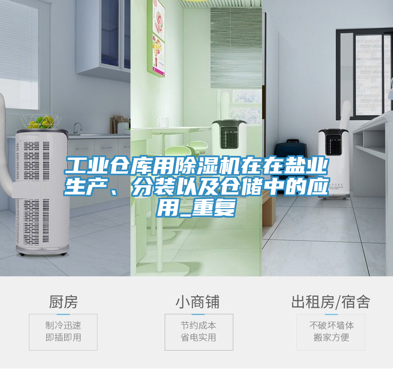 工業(yè)倉(cāng)庫(kù)用除濕機(jī)在在鹽業(yè)生產(chǎn)、分裝以及倉(cāng)儲(chǔ)中的應(yīng)用_重復(fù)