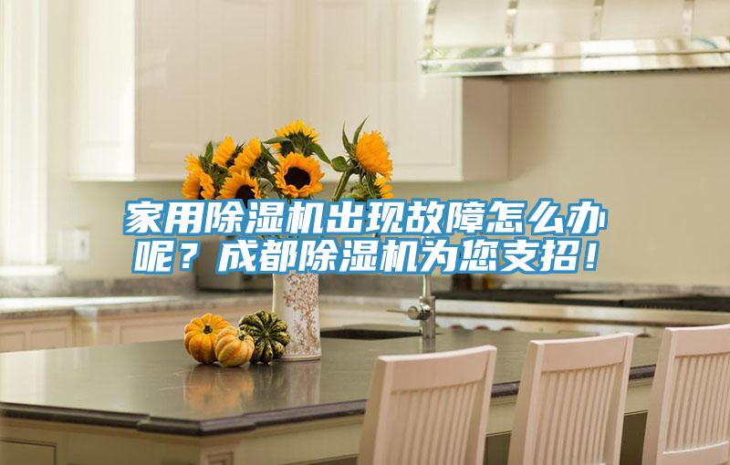 家用除濕機出現(xiàn)故障怎么辦呢？成都除濕機為您支招！