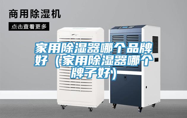 家用除濕器哪個品牌好(家用除濕器哪個牌子好)